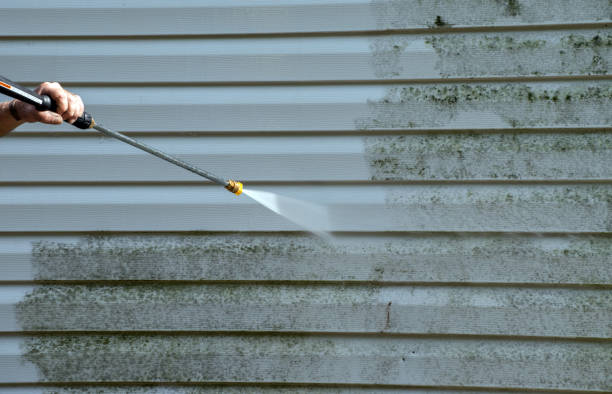 Professional Pressure Washing in Petersburg, MI